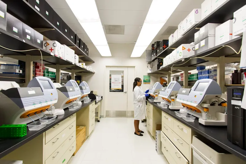 Higher Education & Research